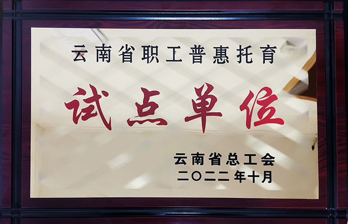 小圖”云南省職工普惠托育試點(diǎn)單位“榮譽(yù)獎(jiǎng)牌.jpg